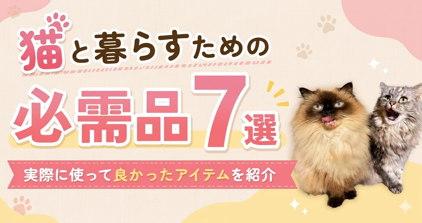 猫と暮らすための必需品7選｜実際に使って良かったアイテムを紹介