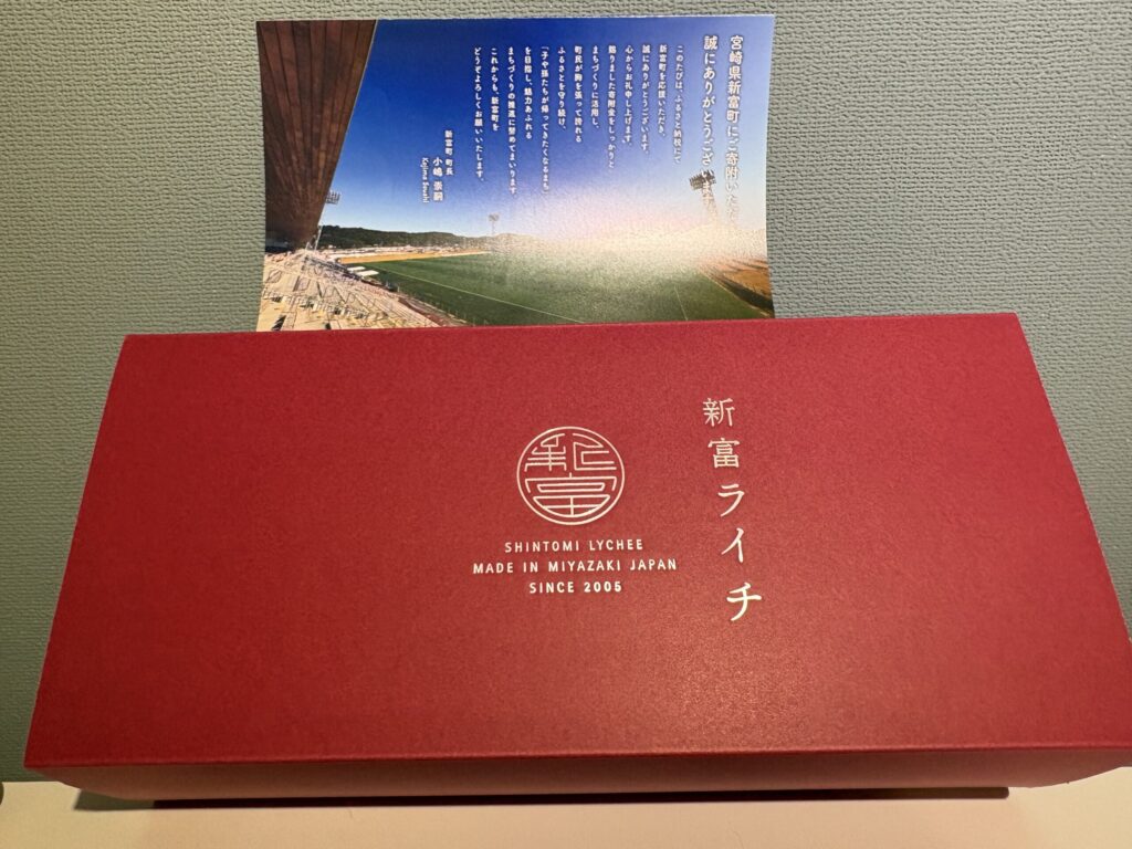 新富ライチ ふるさと納税 宮崎