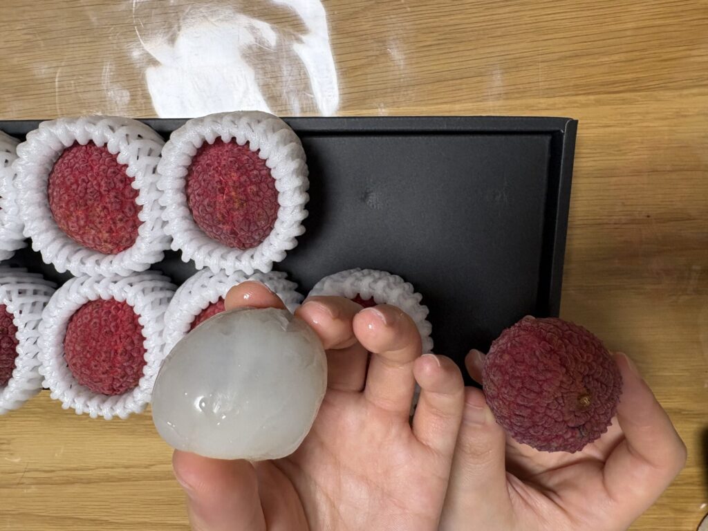 新富ライチ ふるさと納税 宮崎