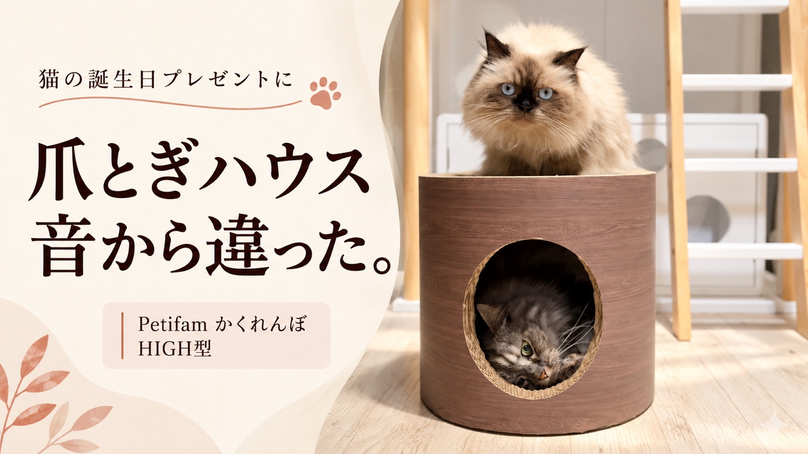 猫の誕生日プレゼントに爪とぎハウス｜Petifamかくれんぼ HIGH型は音から違った