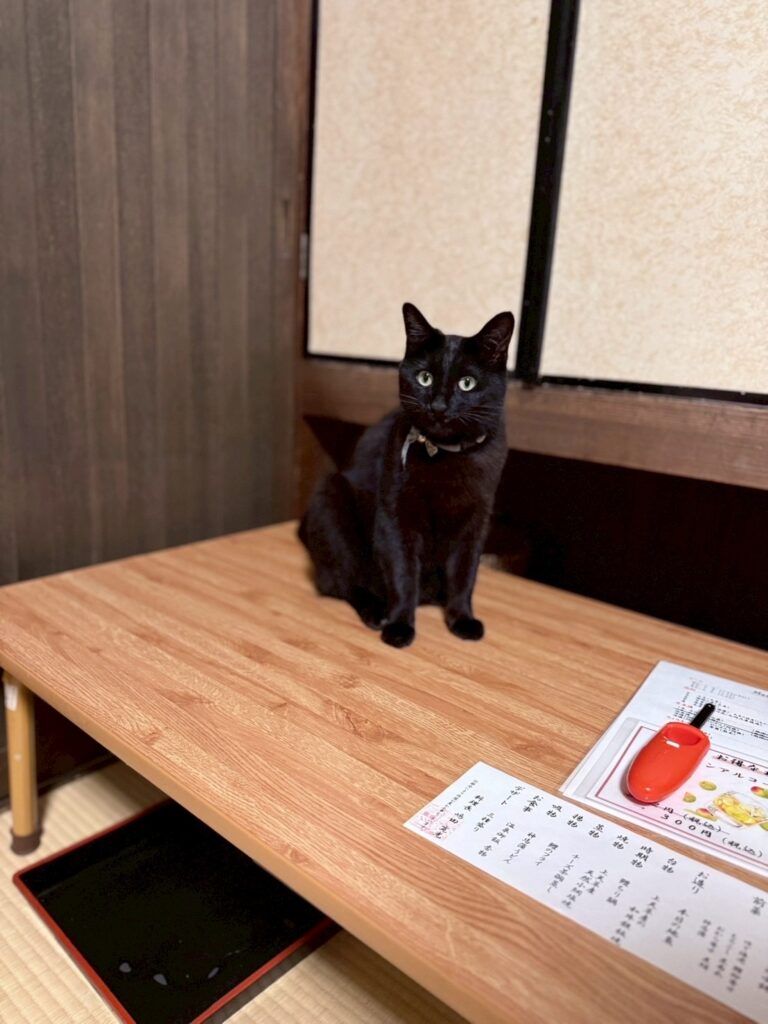 テーブルの上に座ってこちらを見つめる黒猫