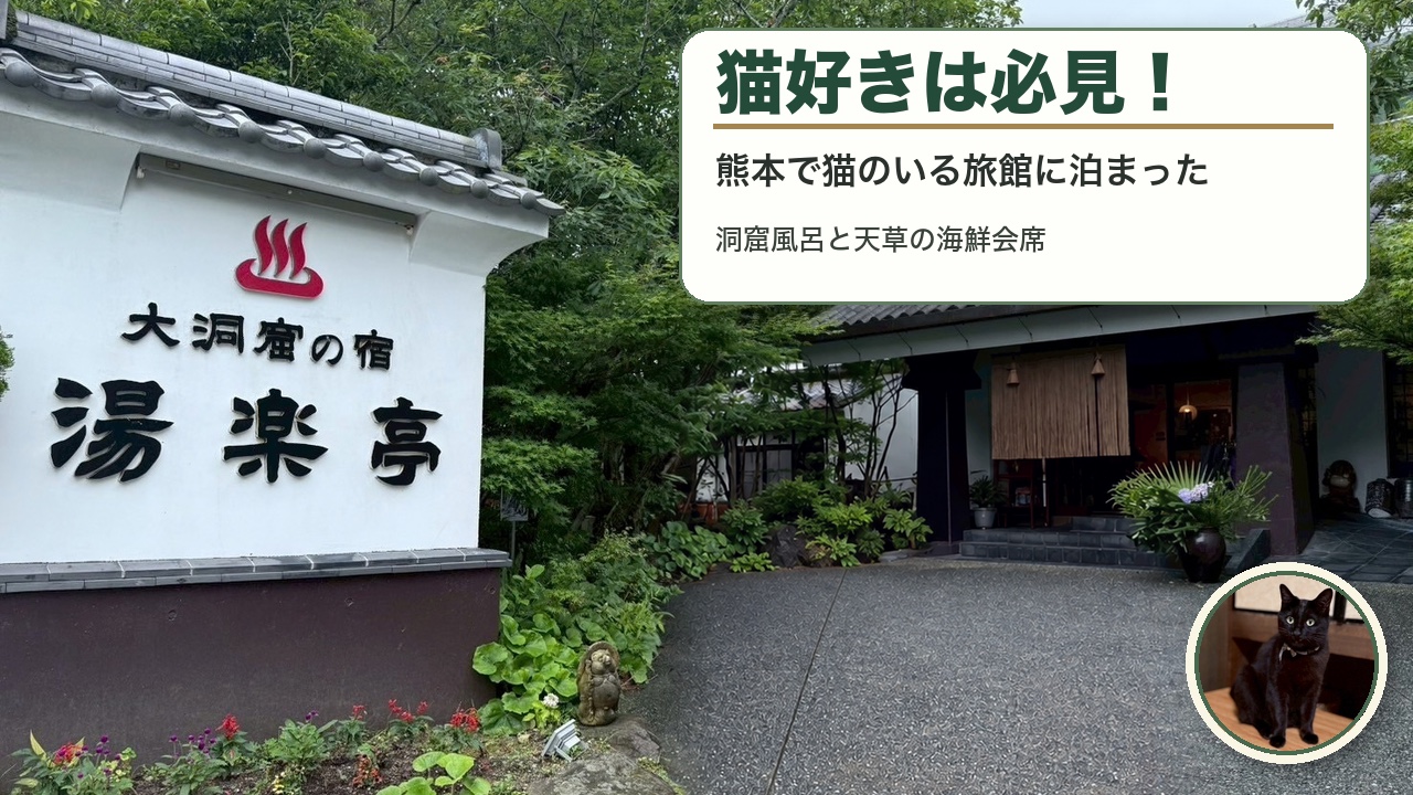 猫好きは必見！熊本で猫のいる旅館「湯楽亭」に泊まった｜洞窟風呂と天草の海鮮会席【ふっこう応援割】